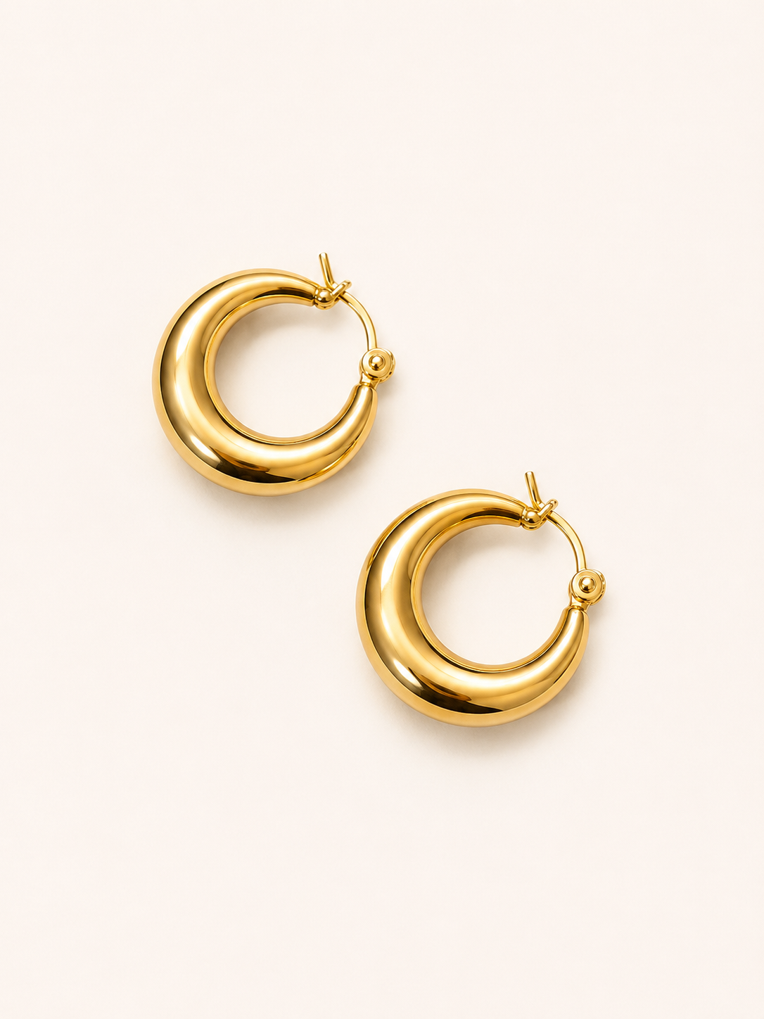 The Perfect Hoop Earrings